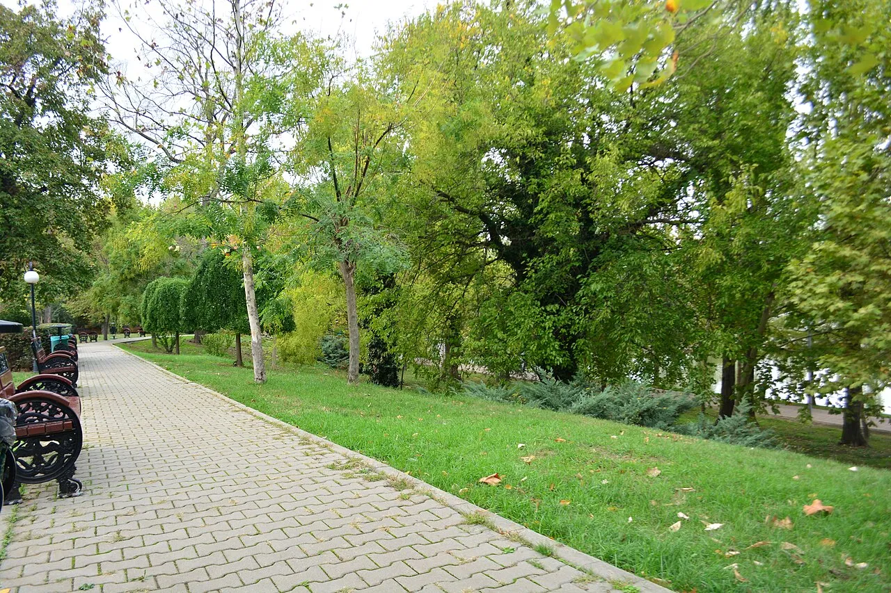 Alee cu bănci și arbori în Parcul Bordei, în 2024.