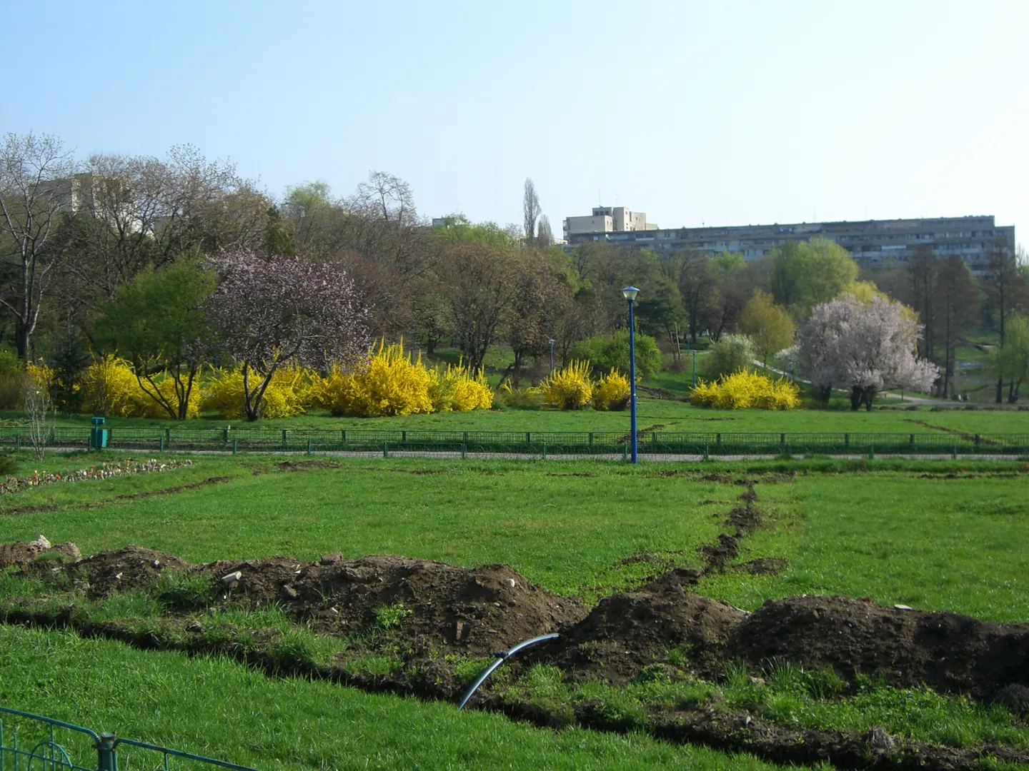 Parcul Circului, fotografie documentară din 2006