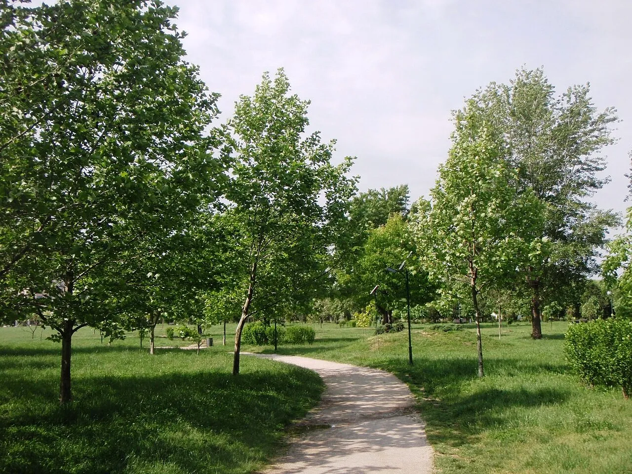Alee printre arbori în Parcul Izvor, în mai 2016.